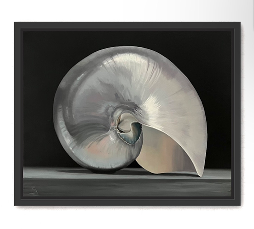 Nautilus, Original Still Life Oil Painting